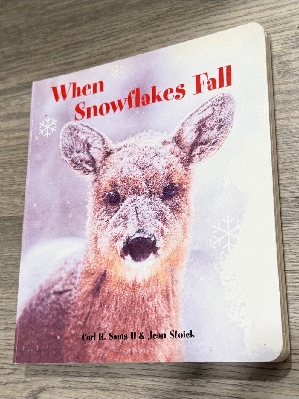 When Snowflakes Fall board book Stranger in the Woods Sams II & Stoick 2009